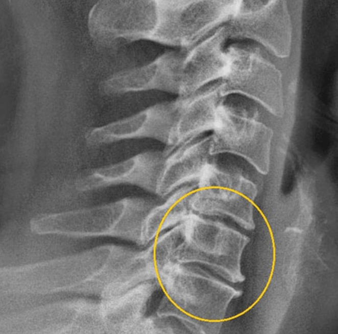 Immagine diagnostica